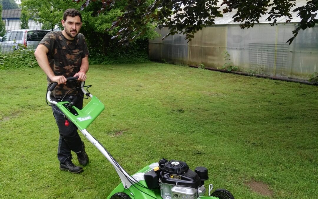 Alvaro Vidal, Trabajos Forestales en Alemania