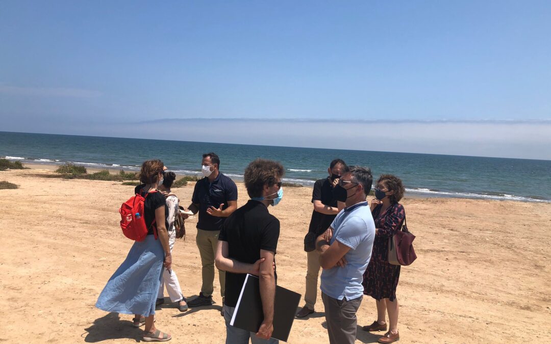 Los componentes del programa Erasmus K3 visitan el proyecto de reecolización del parque agrícola «dels peixets» en Alboraya