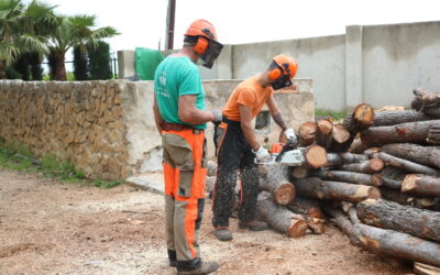 La EFA La Malvesía acuerda un 20% de descuento en la enseñanza presencial a los asociados de AVA, ASFPLANT y La Unió