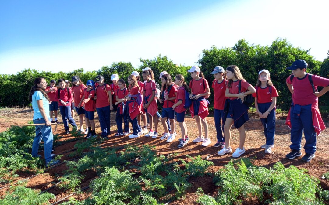 Los alumnos del colegio Sant Francesc de Guadassuar conocen de cerca las variedades tradicionales valencianas