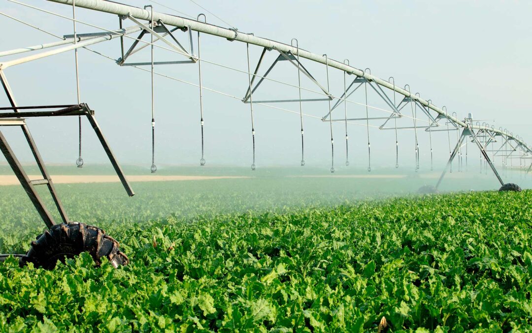 La EFA La Malvesía imparte un curso sobre Tecnologías para un uso sostenible del agua