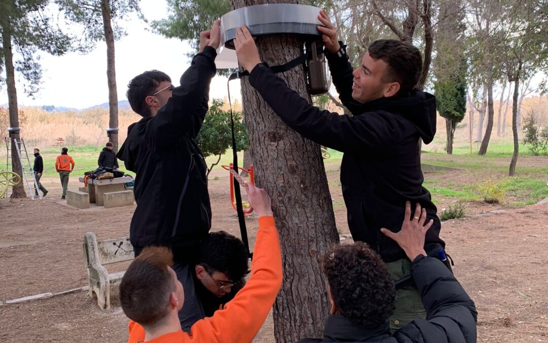 Los alumnos de la EFA La Malvesía evitan la proliferación de procesionaria en Alfarp con un innovador sistema ecológico