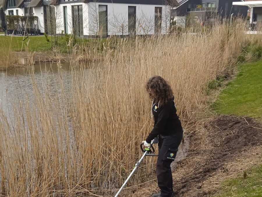 Dos alumnas de la EFA La Malvesía realizan sus prácticas forestales en Holanda a través del programa Erasmus+