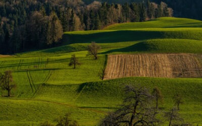 La EFA La Malvesía impartirá 6 cursos gratuitos en octubre para fomentar el desarrollo rural