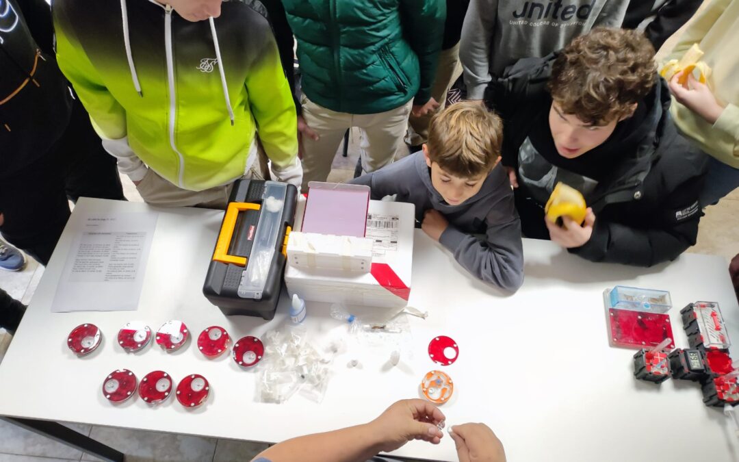 Hormigas, ciencia y trabajo en equipo para el proyecto Guardabosc!