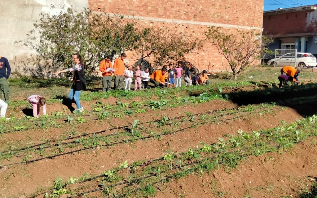 Los más pequeños de Llombai cultivan futuro en el huerto escolar con la EFA La Malvesía