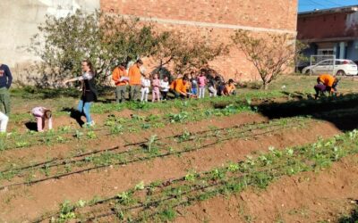 Los más pequeños de Llombai cultivan futuro en el huerto escolar con la EFA La Malvesía